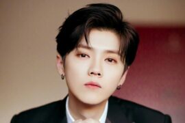 鹿晗《Stars With You》歌词及赏析