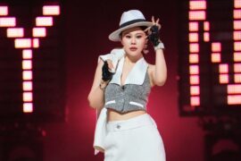 袁娅维、王睿卓《白梨花》歌词及评论