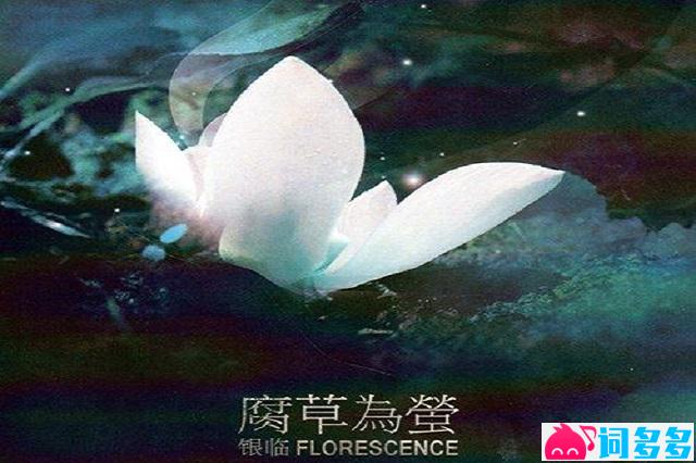 银临、云之泣《锦鲤抄》歌词及赏析