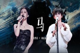 张碧晨、周震南《马》歌词表达及评论赏析