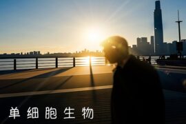 黎明《单细胞生物》歌词及赏析