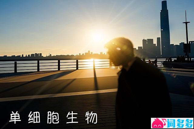 黎明《单细胞生物》歌词及赏析