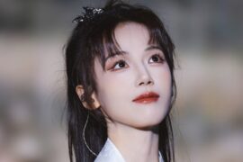 银临《不老梦》歌词表达及评论赏析