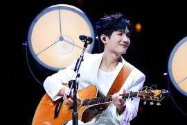 陈楚生《红绣花》歌词表达及评论赏析