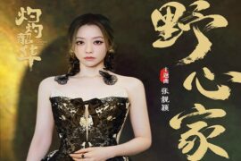 张靓颖《野心家》歌词《灼灼韶华》主题曲