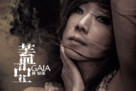 林忆莲《柿子》歌词完整版