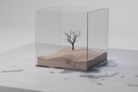 王OK、洪佩瑜《这条小鱼在乎》歌词及赏析