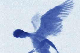 伍六七《yuki》歌词及评论