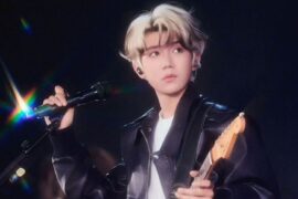 王源《羚羊》歌词表达及评论赏析