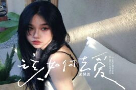 孟慧圆《该如何去爱》歌词及赏析