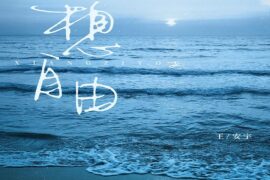 王安宇《想自由》歌词表达及评论