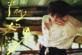 王安宇《半秒如果》歌词表达及评论