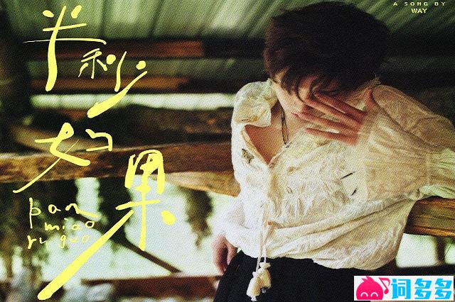 王安宇《半秒如果》歌词表达及评论