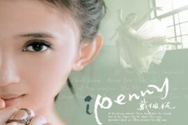 戴佩妮《一个人的行李》歌词及赏析