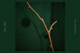 裘德《荔枝》歌词表达及评论赏析