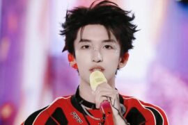 黄子弘凡《峥嵘》歌词表达及评论