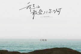 王唯旖《我怎么敢爱上你啊》歌词及赏析