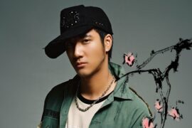 王力宏《花田错》歌词及赏析