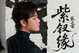 张云雷《紫钗缘》歌词完整版