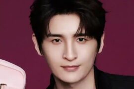 张远《月光闪》歌词及赏析