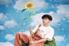 王一珩OneSD《向日葵下》歌词及评论