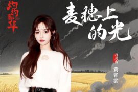黄霄雲《麦穗上的光》完整版歌词《灼灼韶华》片尾曲