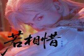 郑繁星《若相惜》歌词表达及评论赏析