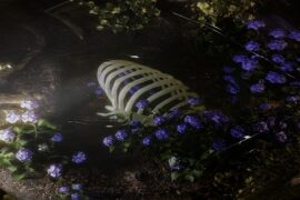 加木《相机》完整版歌词