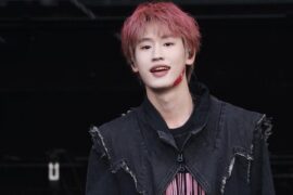 AK刘彰《果实》歌词表达及评论