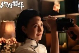 王嘉诚《一闪而过》歌词《灼灼韶华》心动曲