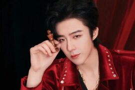 刘宇宁《想象》完整版歌词