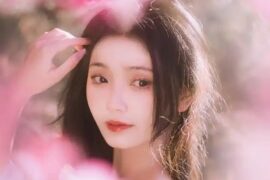 向思思《如果未曾见过月亮》歌词及评论