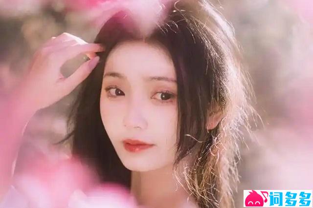 向思思《如果未曾见过月亮》歌词及评论
