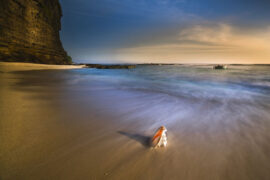 罗言、 LSGCsikoriot《白日梦航班》完整版歌词