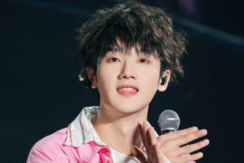 蒋敦豪《轻轻》完整版歌词