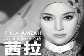 茜拉《到时说爱我》歌词表达及评论