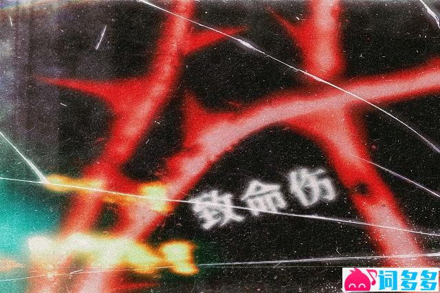柴行敏《致命伤》歌词及赏析