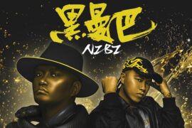 南征北战NZBZ《黑曼巴》歌词及赏析