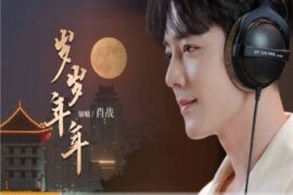 肖战《岁岁年年》完整版歌词