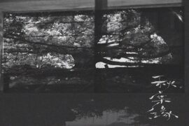 林家谦《秋叶缘》歌词及评论