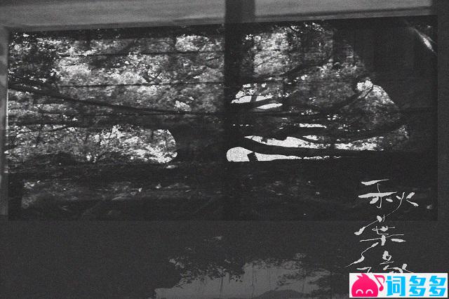 林家谦《秋叶缘》歌词及评论