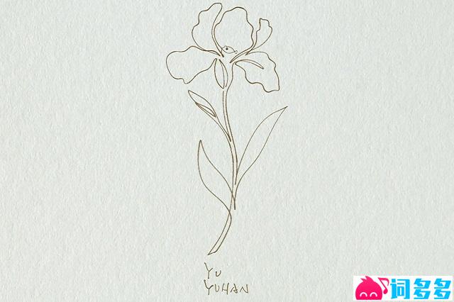 余宇涵《Flower Girl》歌词表达及评论