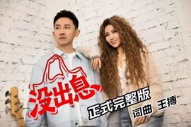 王博、王蓉《没出息》正式完整版歌词