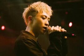 王齐铭《翻山越岭》歌词表达及评论