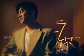 苏有朋《与你》歌词表达及评论