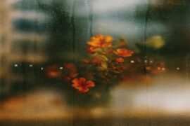 张艺兴、刘宇宁《提到了你》歌词及赏析