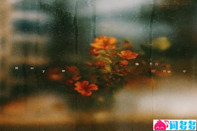 张艺兴、刘宇宁《提到了你》歌词及赏析