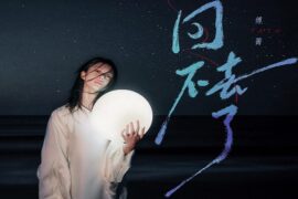 傅菁《回不去了》歌词表达及评论