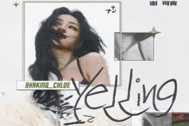 谢可寅《Yelling》歌词表达及评论赏析