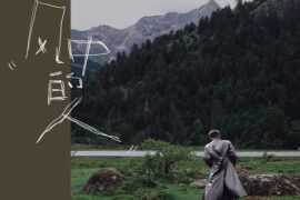 王安宇《风中的人》歌词表达及评论